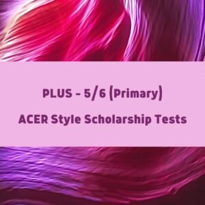 ACER Style Plus