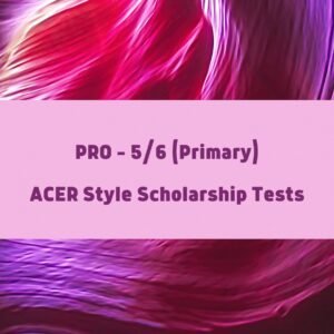 ACER Style Pro