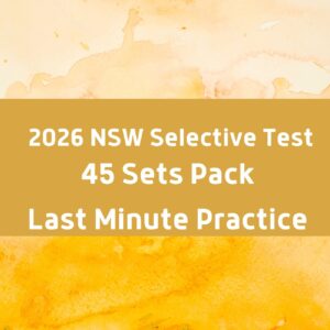 NSW Govt School Year 5 Entry 4