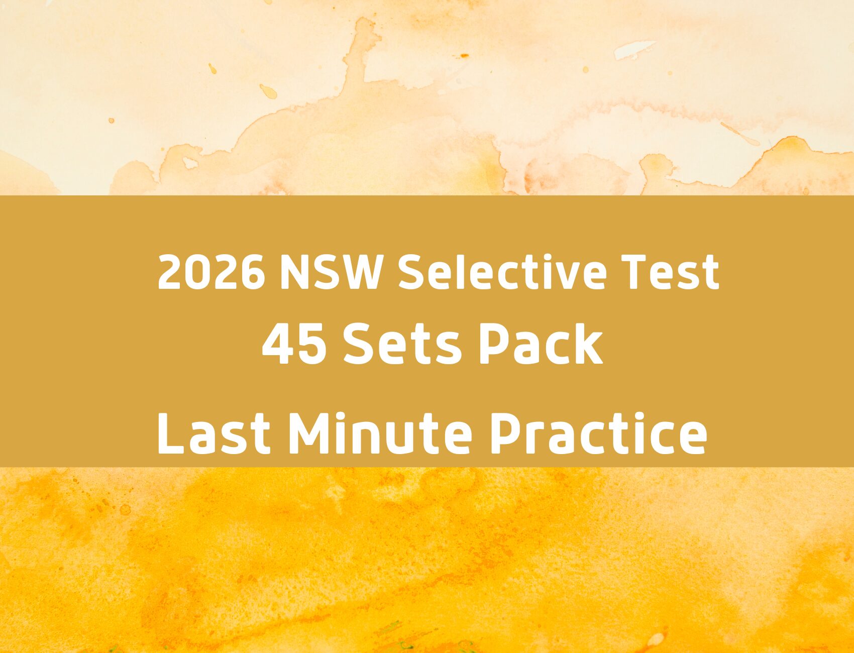 NSW Govt School Year 5 Entry 4